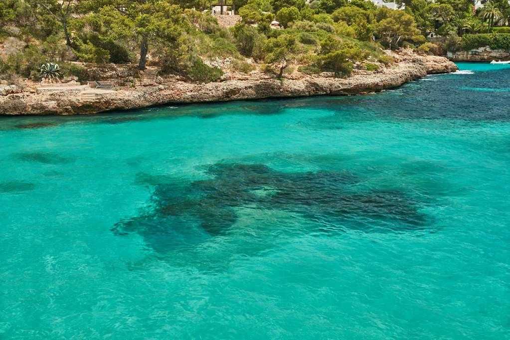 Hotel Barcel Ponent Playa Cala D´Or Naturaleza foto